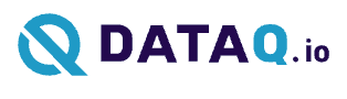 dataq io company logo